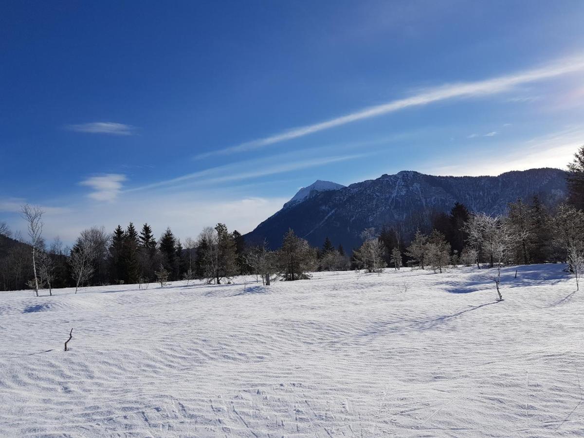 Zirbenstueberl - Chiemgau Karte Apartment Inzell Bagian luar foto